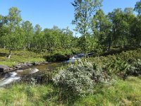 IMG 0563