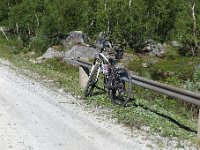 IMG 0568