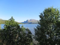 IMG 0572